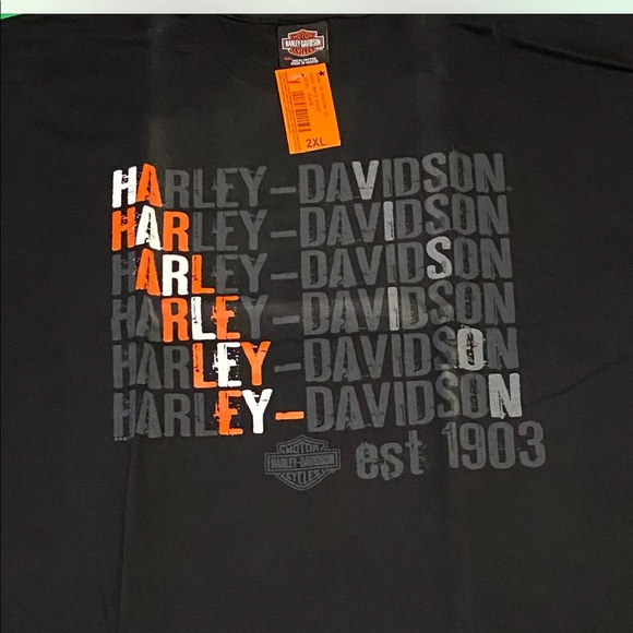 NWT Harley Davidson oversized Tee. XXL. - Picture 3 of 4